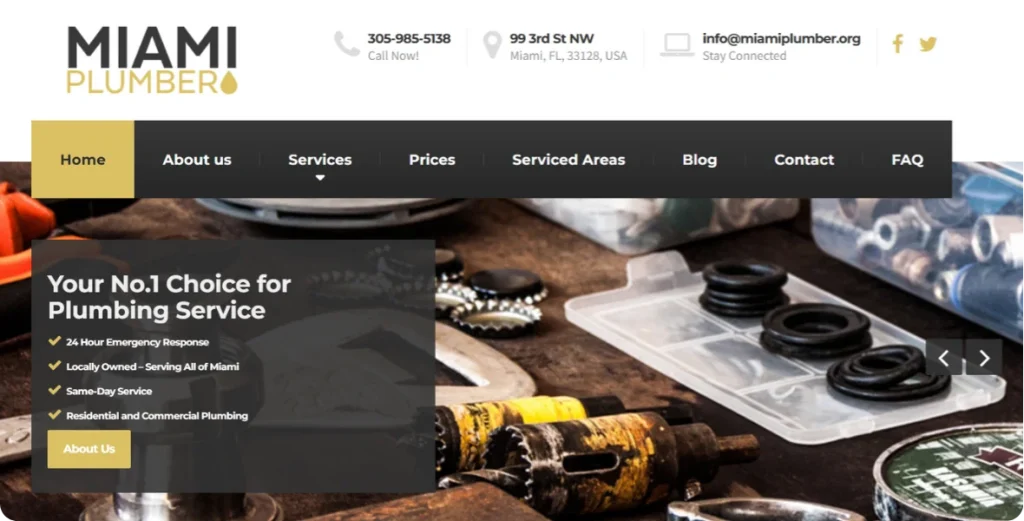 a website made of a plumber in US