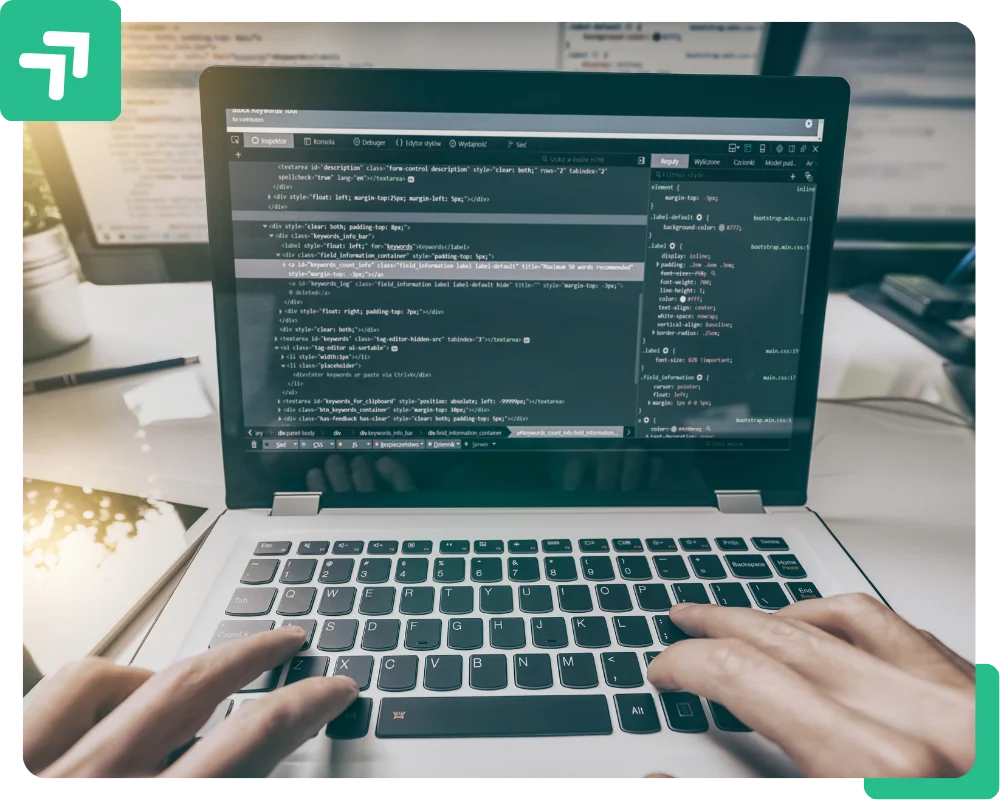 a web developer designing a wordpess website